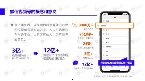 热联爆料视频最新下载,最新下载内容深度解析